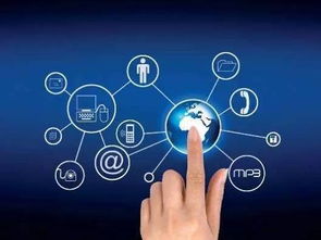 互聯(lián)網(wǎng)時(shí)代金融信息服務(wù)創(chuàng)新的路徑與策略